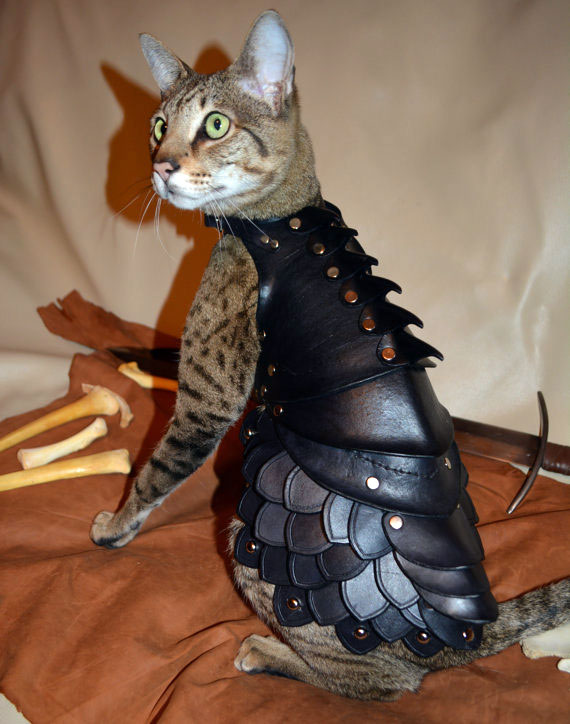 armure-pour-chat-02