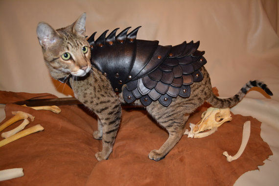 armure-pour-chat-04