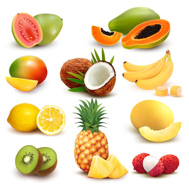10 fruits tropicaux mangés = 10 plantes tropicales à faire pousser ! ~  Sweet Random Science